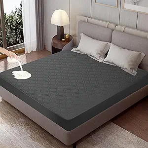 Read more about the article 