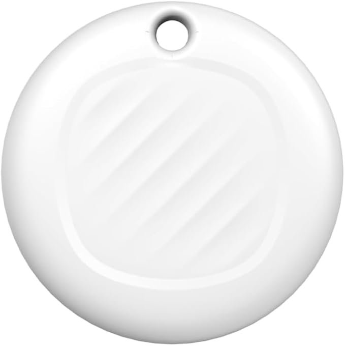 Read more about the article 