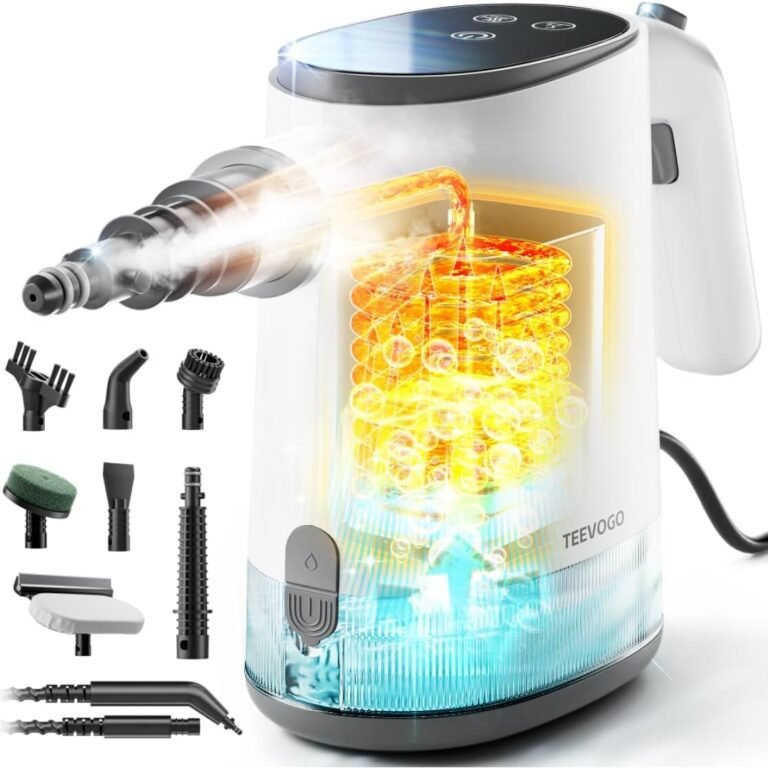 Read more about the article 