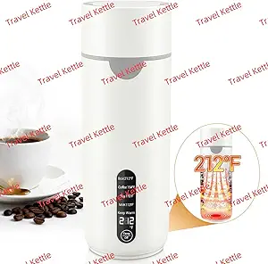 Read more about the article 