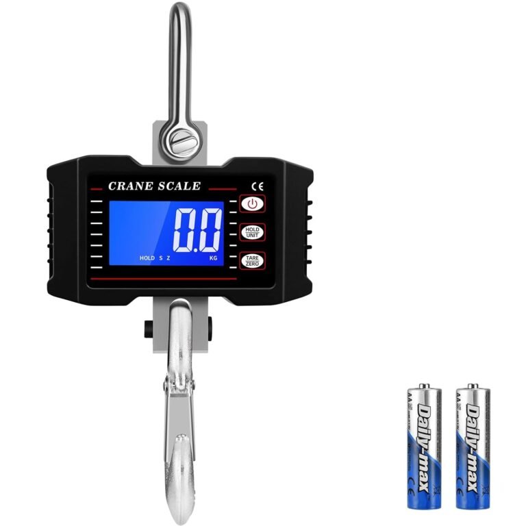 Read more about the article 