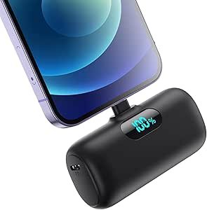 Read more about the article 