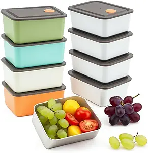 Read more about the article 