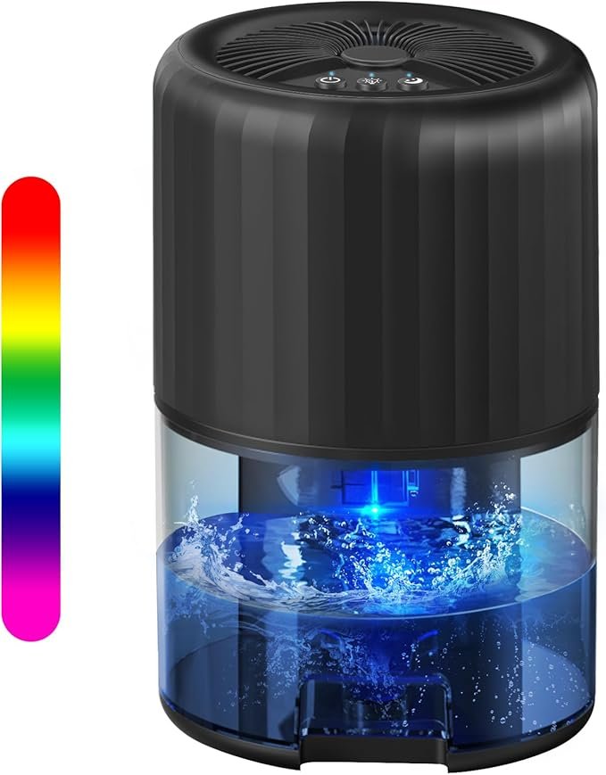 Read more about the article 