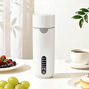 Read more about the article 