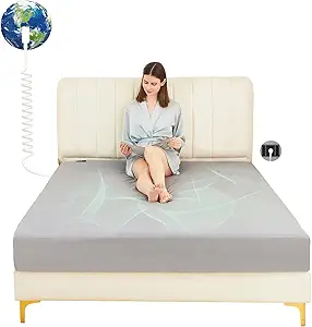 Read more about the article 