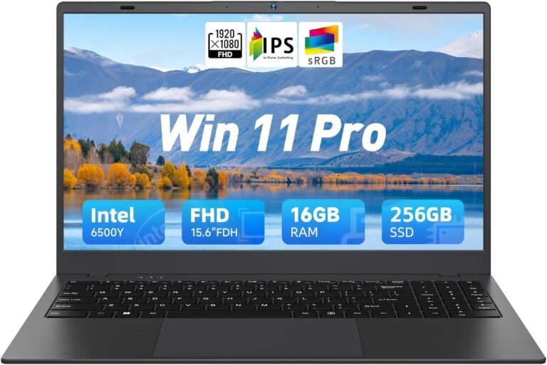 Read more about the article 