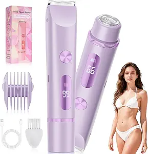 Read more about the article 