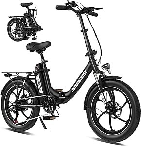 Read more about the article 