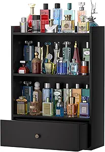 Read more about the article 