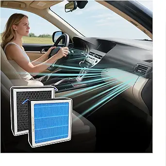 Read more about the article 