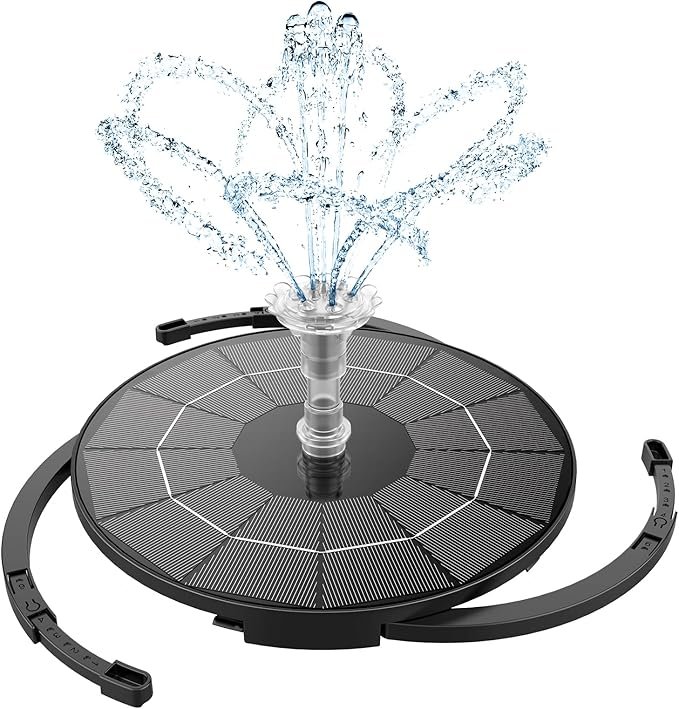 Read more about the article 