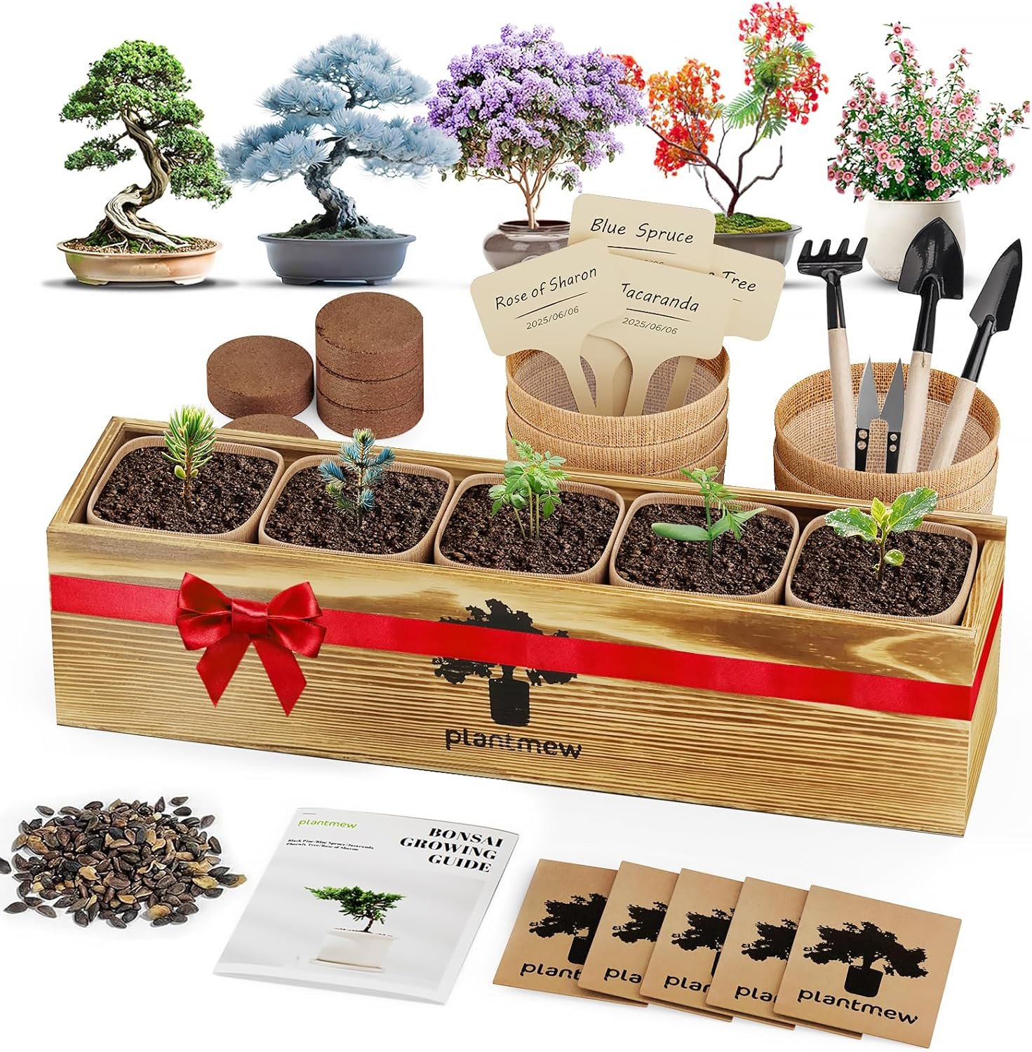 You are currently viewing 