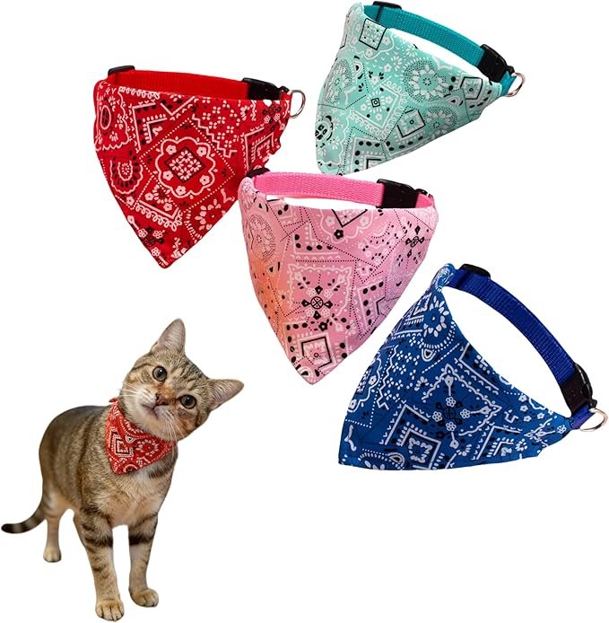 You are currently viewing 