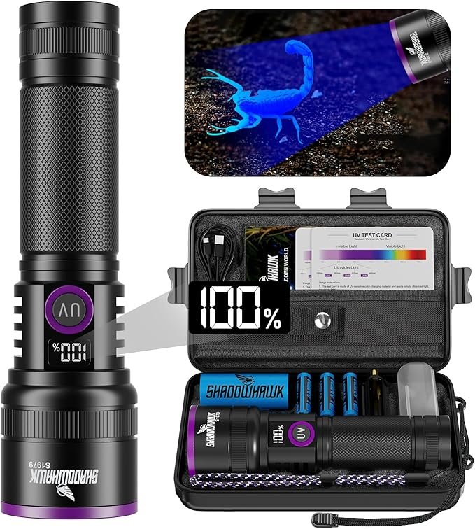 Read more about the article 