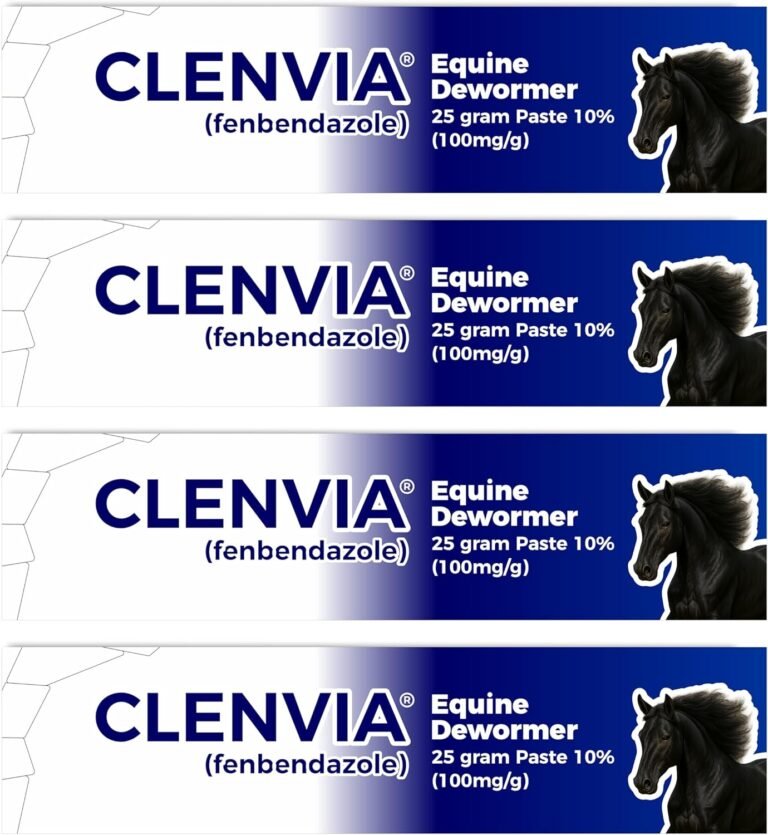 Read more about the article 