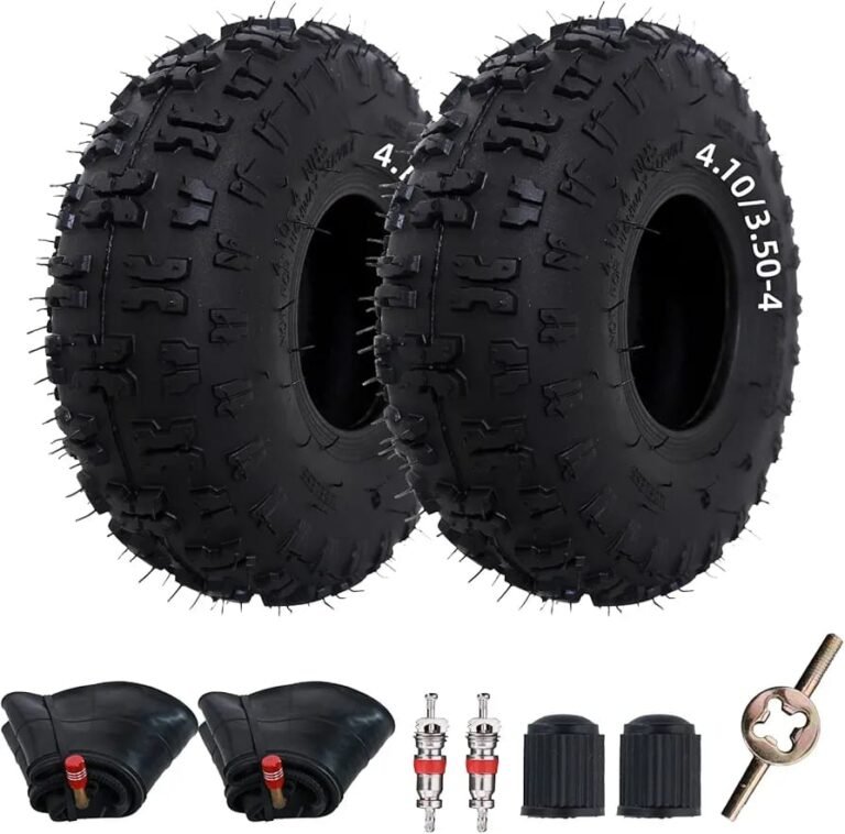 Read more about the article 