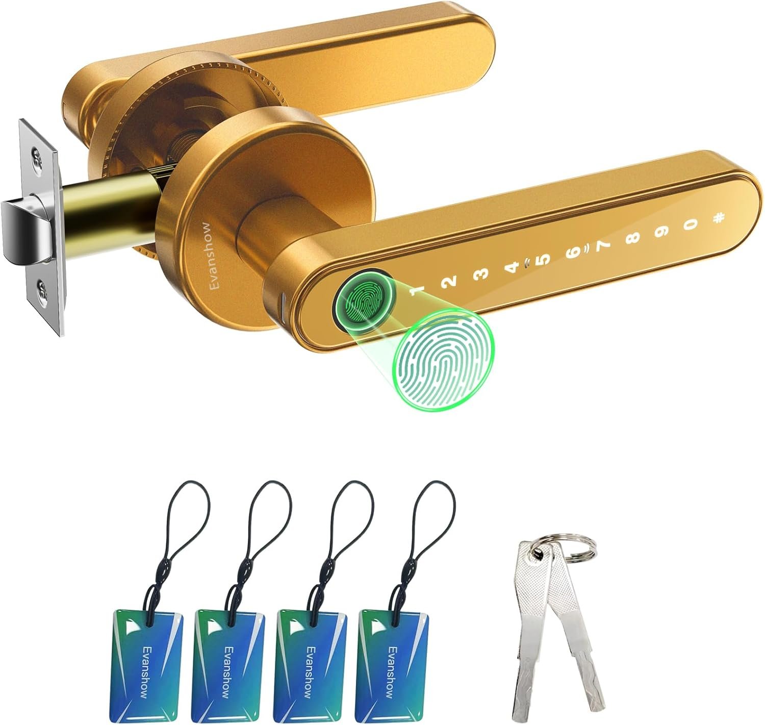 You are currently viewing 