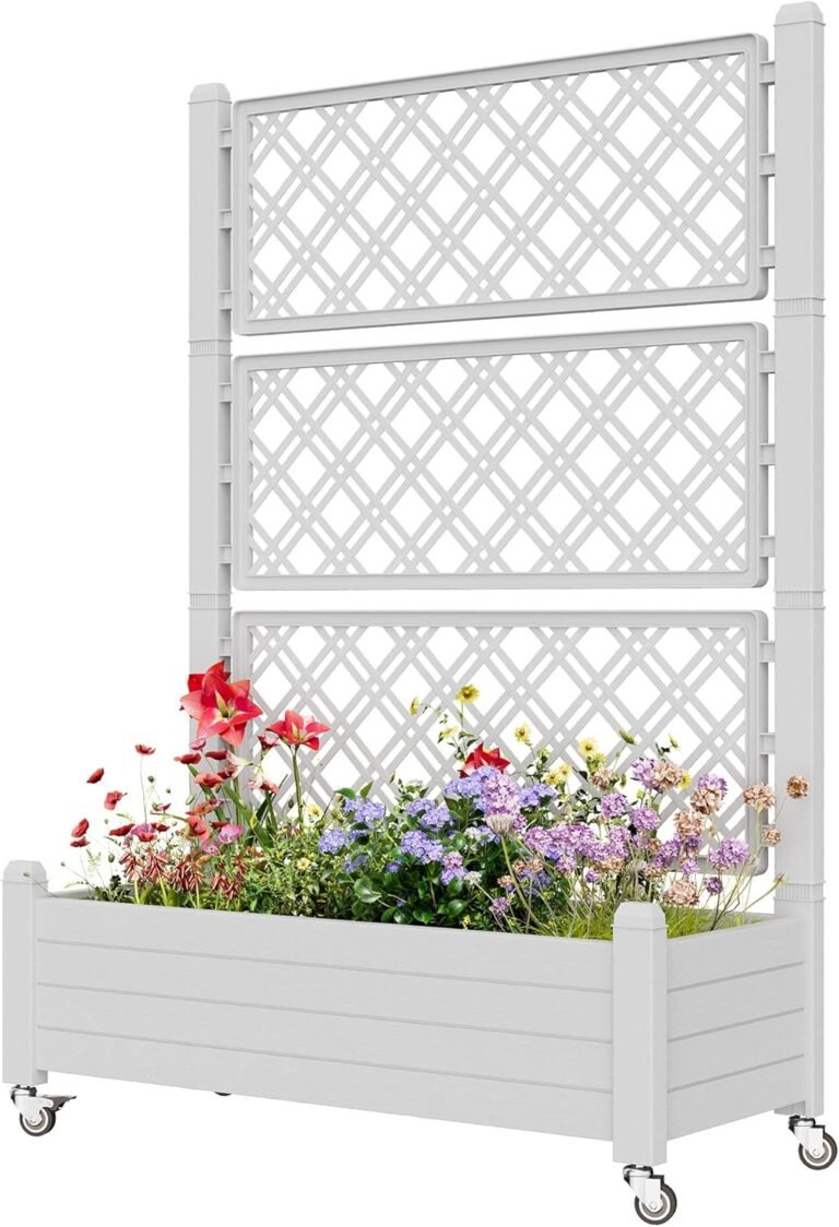 Read more about the article 