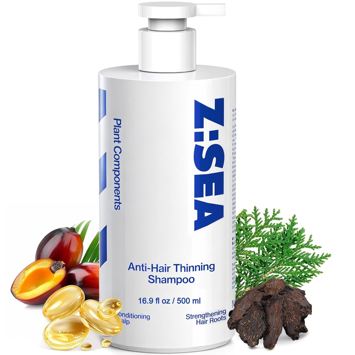 Read more about the article 