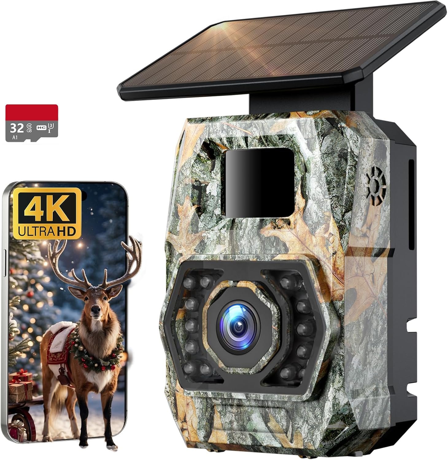 Read more about the article 