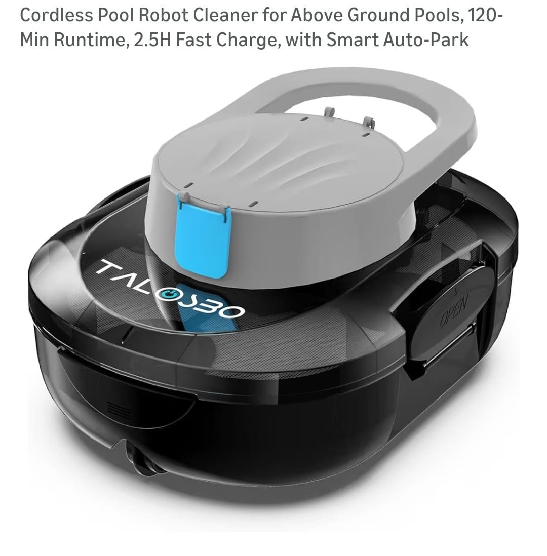 Read more about the article 