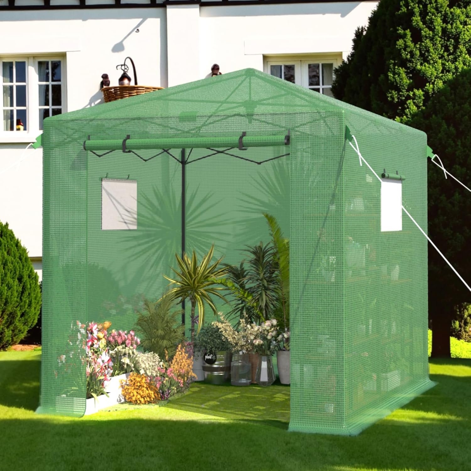 You are currently viewing 8X6 FT Pop Up Greenhouse