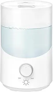 Read more about the article Cool Mist Humidifier
