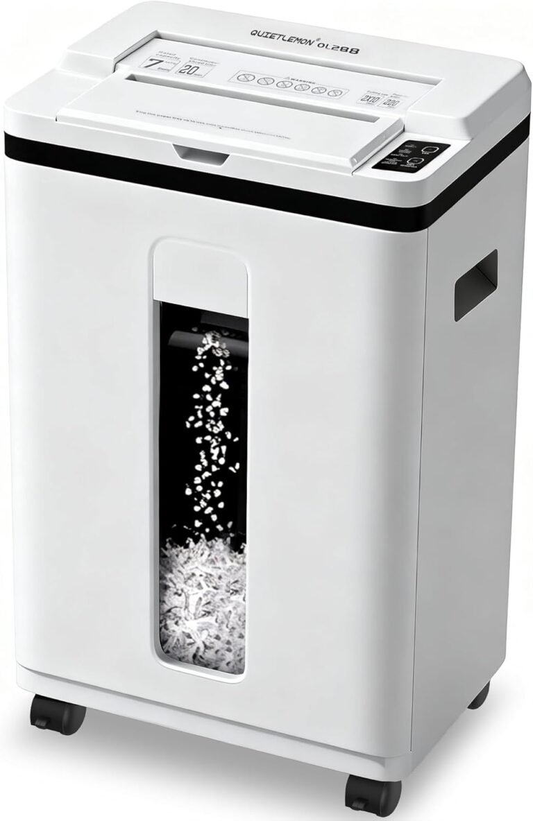 Read more about the article 