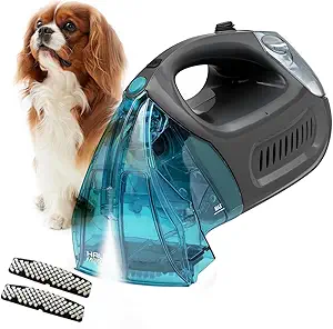 Read more about the article Hausmeister Hydroflex Carpet Cleaner Machine, Upholstery Cleaner Machine for Couch, Car Seats & Pet Stains, 500W Powerful Handheld Deep Cleaner with 3 Brush Heads (