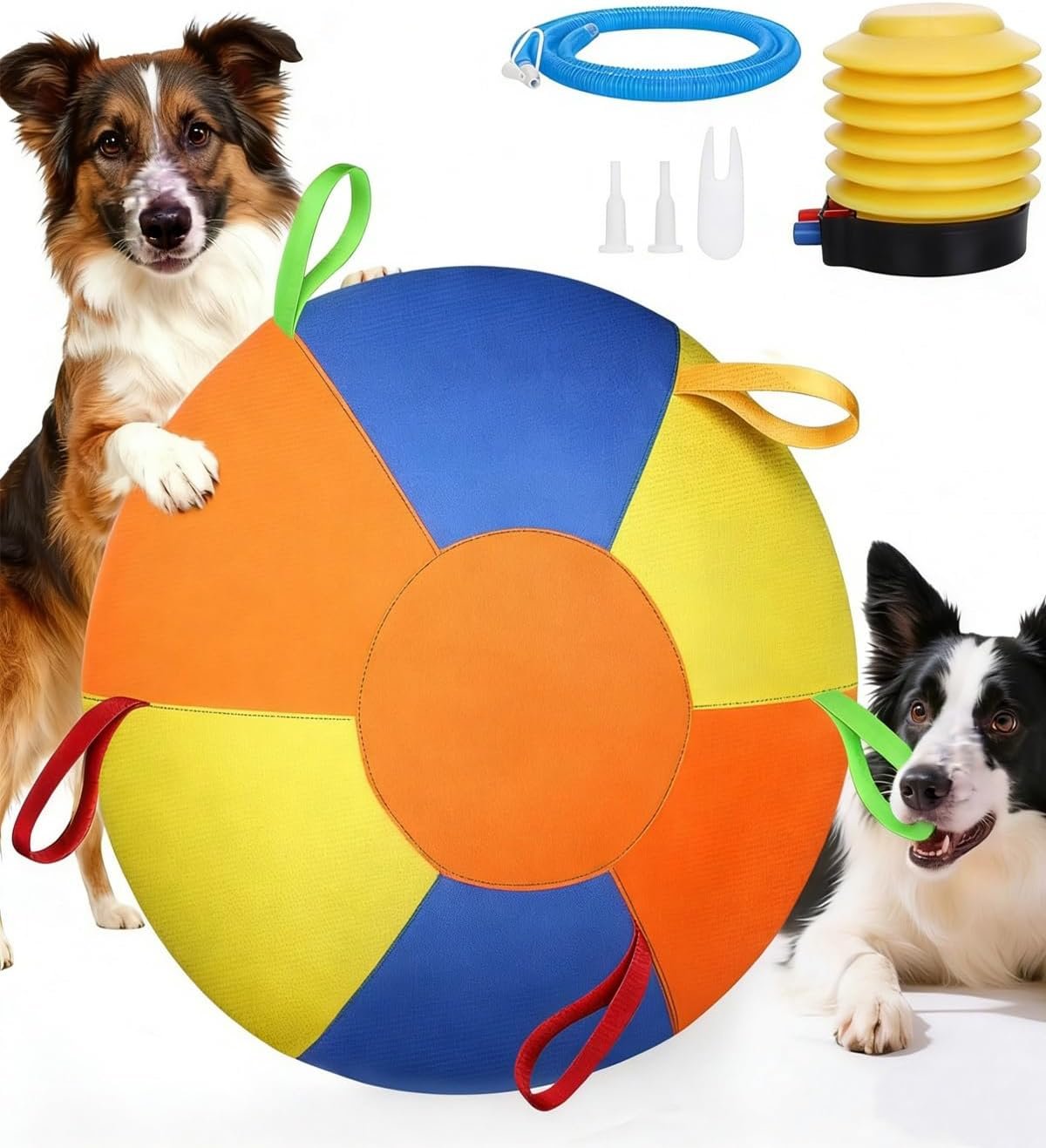 You are currently viewing Dog ball