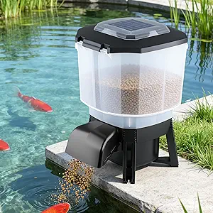 Read more about the article Solar Automatic Fish Feeder