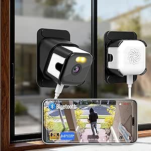 Read more about the article 