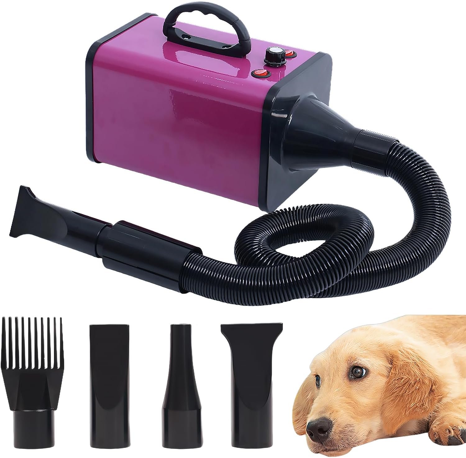You are currently viewing Dog dryer