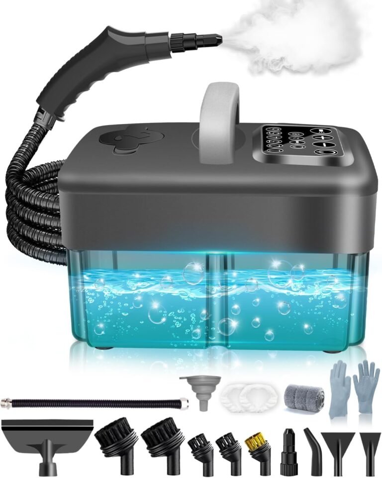 Read more about the article Steam cleaner
