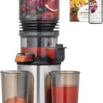 Cold Press Juicer Machine with 6″ Extra-Wide Feed Chute,Triple Stainless Steel Filter,Quiet DC Motor,Easy to Clean,Slow Masticating Juicer High Juice Yield, Grey