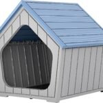 Cat later box