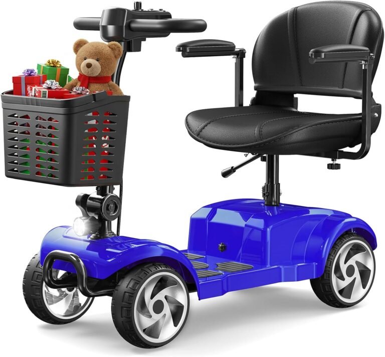 Read more about the article Scooter