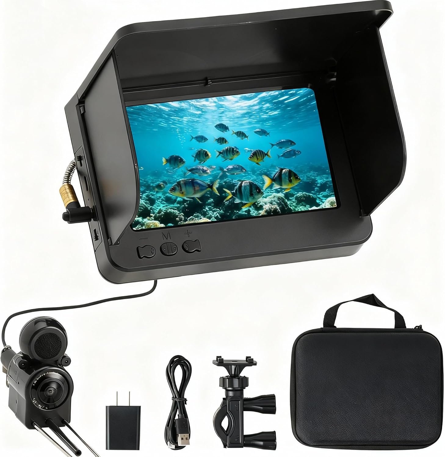 You are currently viewing Portable Fish