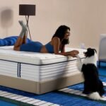 Click to see full view Product Image Product Image Product Image Product Image Product Image Product Image Product Image Alexa AI Ask Alexa  Is this good for back pain?   How long does it take to expand?   Does it sleep hot or cool?   Why you might like this   Compare with similar   Ask something else 12 Inch Full Size Mattress, Hybrid Mattress in a Box, Cooling Gel Memory Foam and Individual Pocket Springs for Pressure Relief, CertiPUR-US Certified (Full 12 inch, Medium) Visit the REJUSLEEP Store