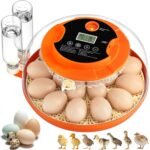 Egg Incubators for Hatching Eggs