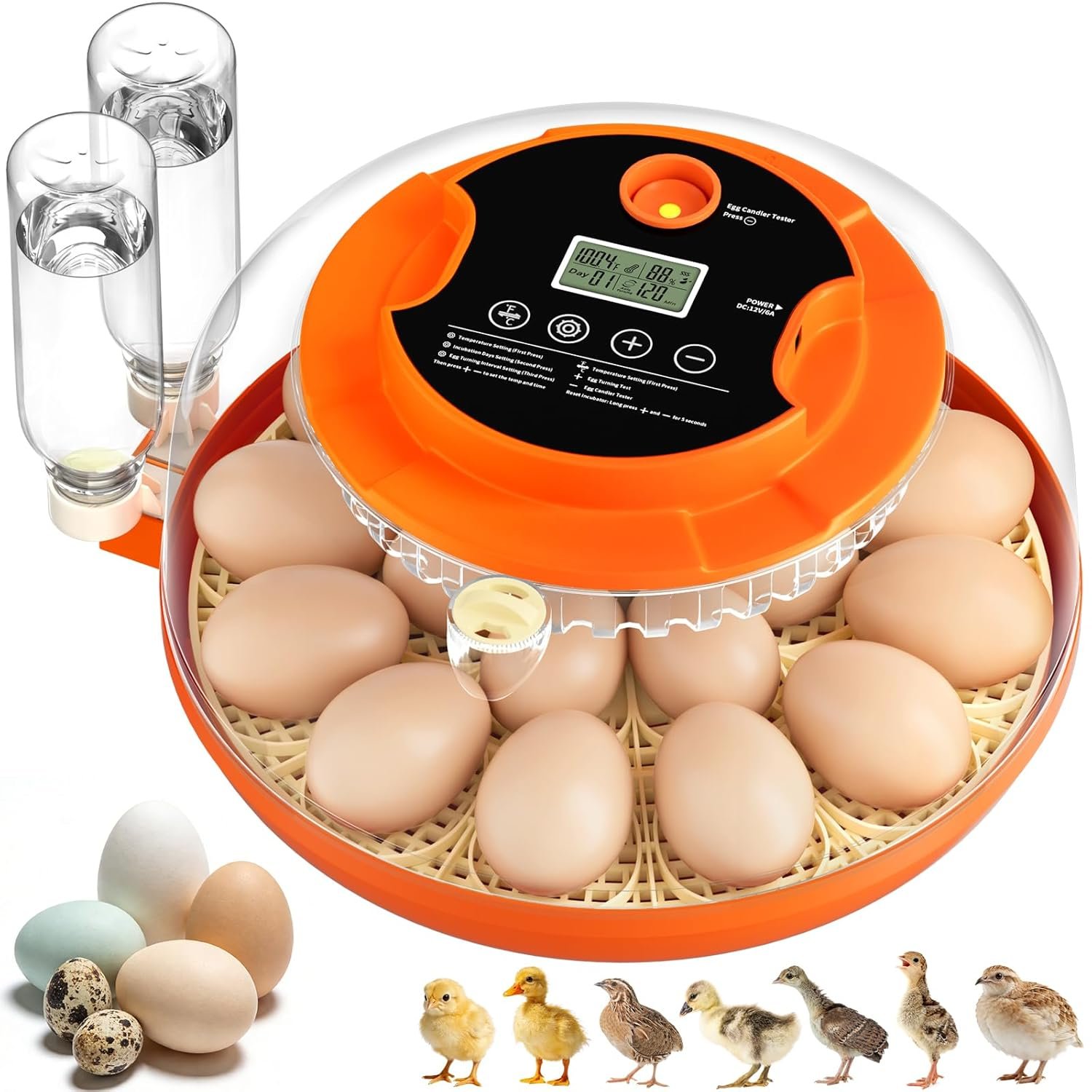 Read more about the article Egg Incubators for Hatching Eggs
